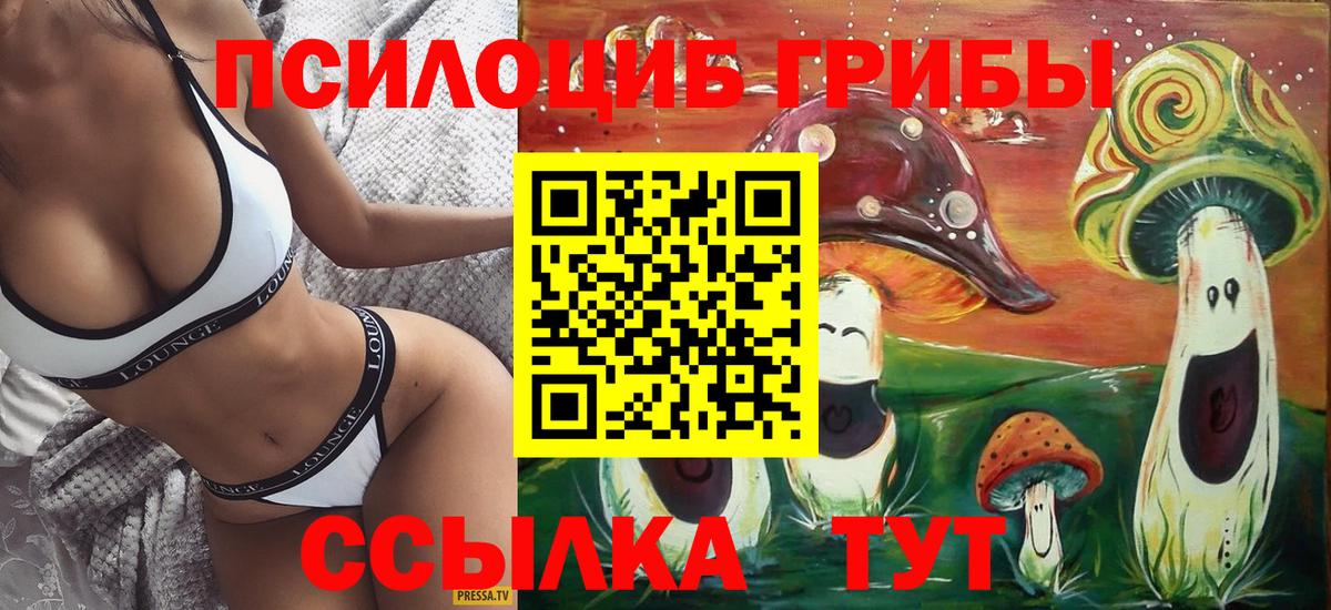 купить наркотики цена  Вход с VPN  Красноармейск  Псилоцибиновые грибы Cubensis 